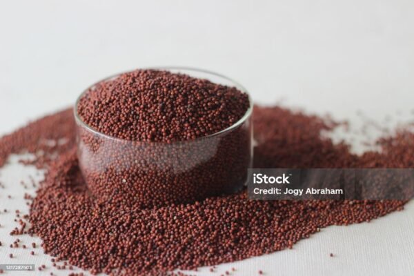 Finger Millet