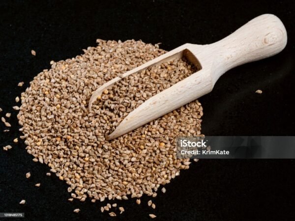 Barnyard Millet