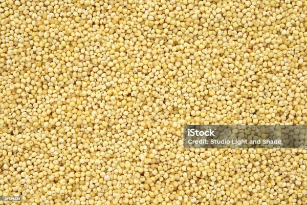 Foxtail Millet(kangni)